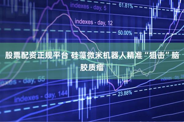 股票配资正规平台 硅藻微米机器人精准“狙击”脑胶质瘤